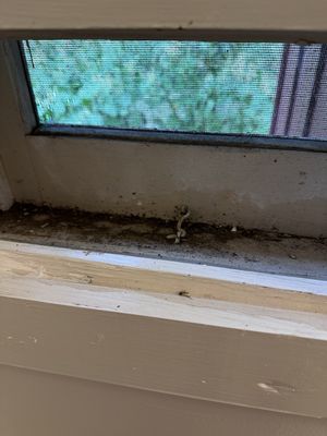 Roscoe Motel by null