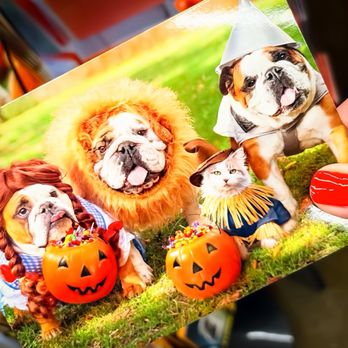 World Market - Puppy Halloween Love . - Home Decor Near Me - Saint Matthews, Kentucky World Market - Puppy Halloween Love . - Home Decor Near Me - Saint Matthews, Kentucky