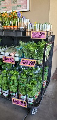 Trader Joe's by null