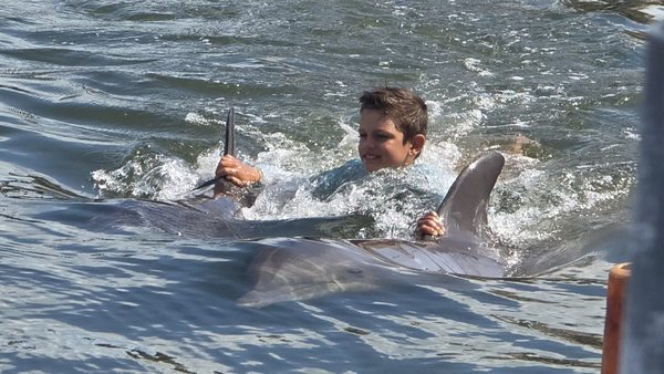 Dolphin Research Center by null