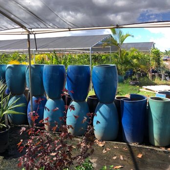 Southern Turf Hawaii - Nurseries & Gardening Near Me - Mililani, Hawaii Southern Turf Hawaii - Nurseries & Gardening Near Me - Mililani, Hawaii