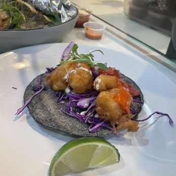 Holbox - Baja Shrimp Taco - Latin American Near Me - Los Angeles, California Holbox - Baja Shrimp Taco - Latin American Near Me - Los Angeles, California