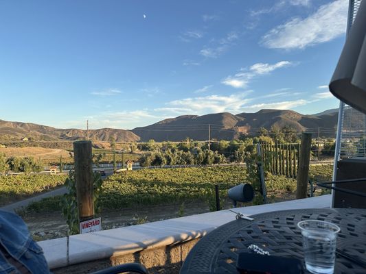 Mama Rosa's Trattoria by null