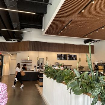 Shortwave Coffee - Walking in - Coffee & Tea Near Me - Tampa, Florida Shortwave Coffee - Walking in - Coffee & Tea Near Me - Tampa, Florida