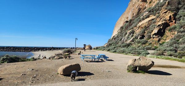 Morro Bay State Park by null