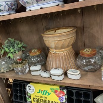 Braxton's Animal Works - Cute jars in the plant store - Pet Stores Near Me - Wayne, Pennsylvania