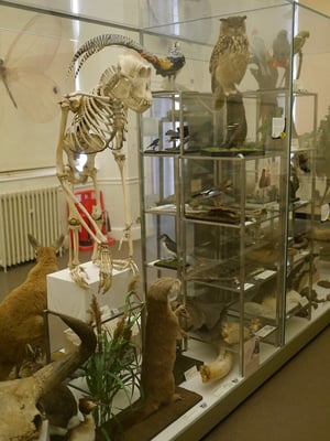 Wollaton Hall by null