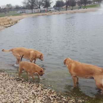 ZBonz Dog Park - Fun for fur babies! - Dog Parks Near Me - Fort Worth, Texas ZBonz Dog Park - Fun for fur babies! - Dog Parks Near Me - Fort Worth, Texas