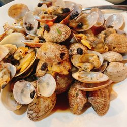 Clam