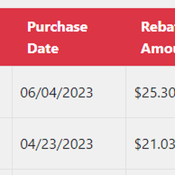 Menards - "Processed" rebates that I have not received!