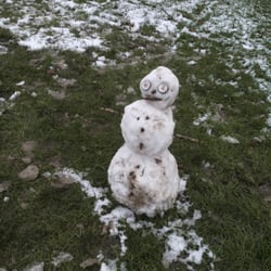 Platt Fields - The snowman