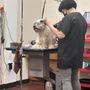 Photo of Arman's Pet Grooming
