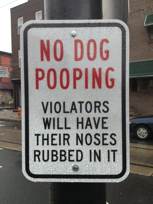 1538 S 11th St by null