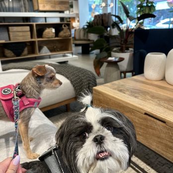 West Elm - Furniture Stores Near Me - North Bethesda, Maryland West Elm - Furniture Stores Near Me - North Bethesda, Maryland