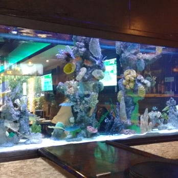 XB Restaurante - Su acuario de XB atracción principal - Burgers Near Me - Cancún, ROO XB Restaurante - Su acuario de XB atracción principal - Burgers Near Me - Cancún, ROO