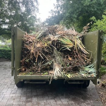 Junk Removal Raccoon - Yard Waste Removal Service - Junk Removal & Hauling Near Me Junk Removal Raccoon - Yard Waste Removal Service - Junk Removal & Hauling Near Me