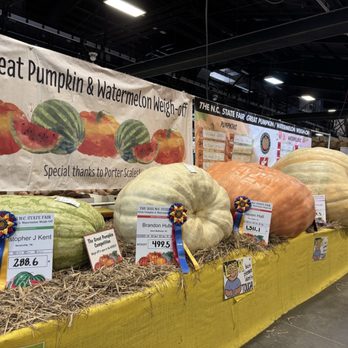 N.C. State Fairgrounds - Huge pumpkins!! - Festivals Near Me - Raleigh, North Carolina N.C. State Fairgrounds - Huge pumpkins!! - Festivals Near Me - Raleigh, North Carolina