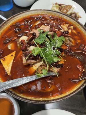 SZECHUAN TASTE by null