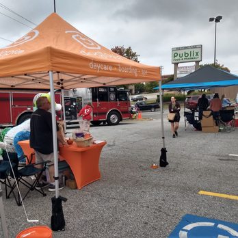 EarthWise Pet Greenville - Pet Expo held by EarthWise Pet in front of store.  Dogs brought owners with them to check each table for info, samples or prizes. - Pet Groomers Near Me - Simpsonville, South Carolina