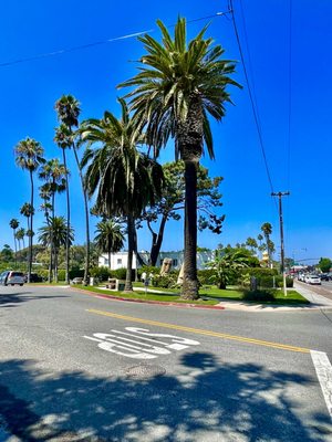 Swamis Seaside Park by null