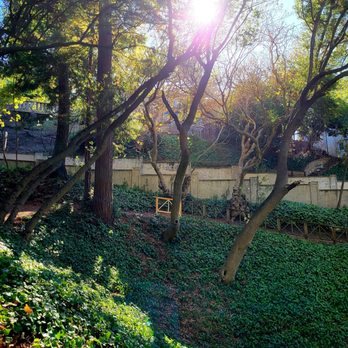 John Hinkel Park - Parks Near Me - Berkeley, California