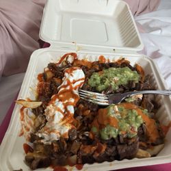 El Amigo - Carne asada fries (extra meat, no pico)