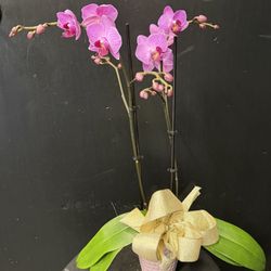 Cute Flowers & Gifts