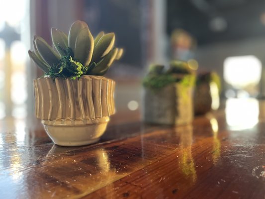 Pub Thirty Two by null