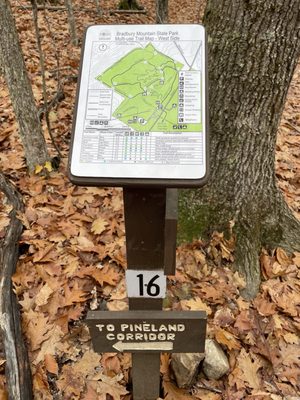 Bradbury Mountain State Park by null