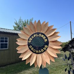 Sunflower Orchard