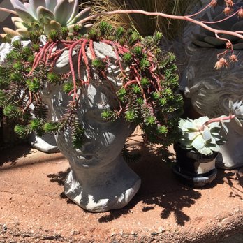 M & M Nursery - Affordable planters - Nurseries & Gardening Near Me - Orange, California