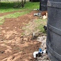 austex sprinkler installation