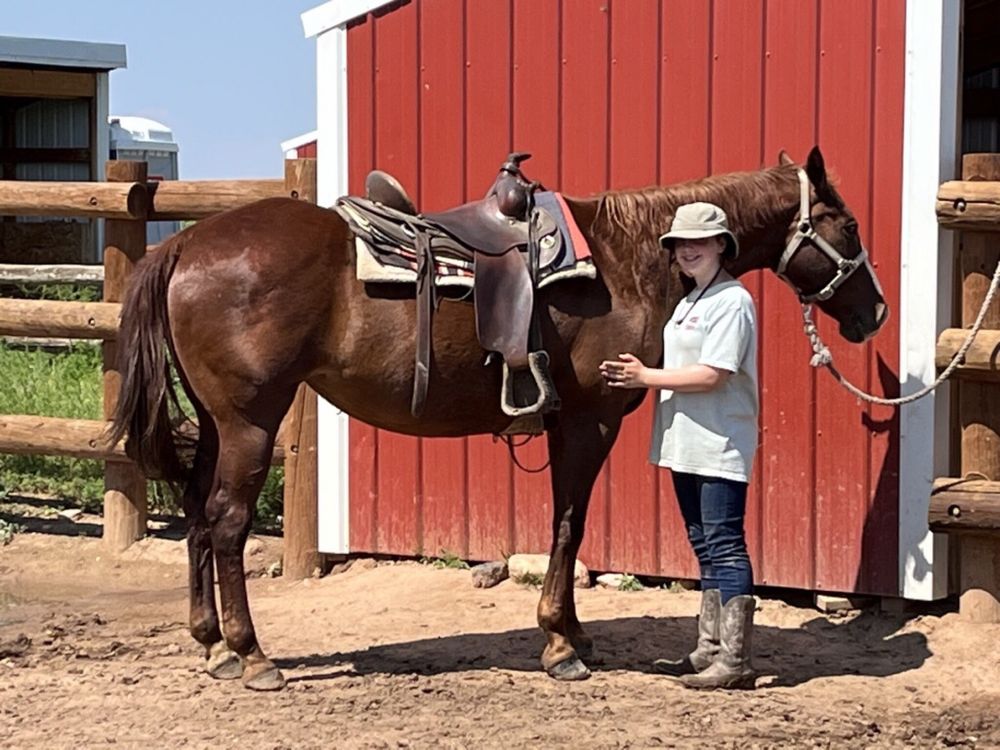 CHATFIELD STABLES Updated October 2024 55 Photos & 104 Reviews