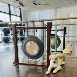 Zen Yoga Studio - Doggie Yoga classes