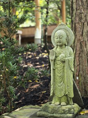 Morikami Museum and Japanese Gardens by null