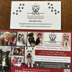 Doggie Dude Ranch - Contact information