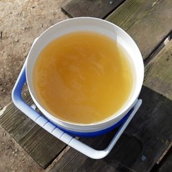 Water from the pump