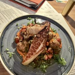 Octopus