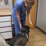 Photo of Daisy Lane Veterinary Clinic