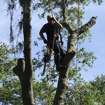 Dunkle's Tree Service - Tree Services Near Me - Jacksonville, Florida
