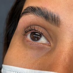 Eyebrow Lamination