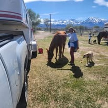 Faught David L DVM - Stopped at Bishop, CA on our way South. Thanks to Dr. Faught, Coda was able to handle an 11 hour trailer trip. - Veterinarians Near Me - Fallon, Nevada Faught David L DVM - Stopped at Bishop, CA on our way South. Thanks to Dr. Faught, Coda was able to handle an 11 hour trailer trip. - Veterinarians Near Me - Fallon, Nevada