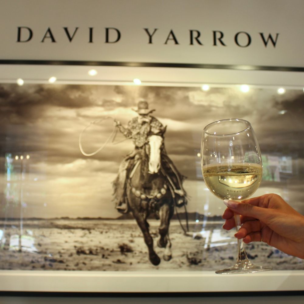 Relevant Galleries - "I want an audience to dream & remove themselves from reality." - David Yarrow - Art Galleries Near Me - Denver, Colorado