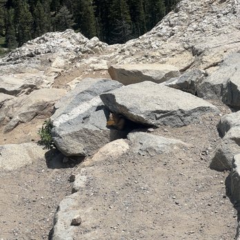 Inspiration Point - Hiking Near Me