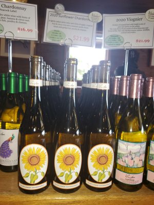 Pindar Vineyards by null