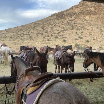 Cowboy Trail Rides - Saddle Up! - Limos Near Me - Las Vegas, Nevada