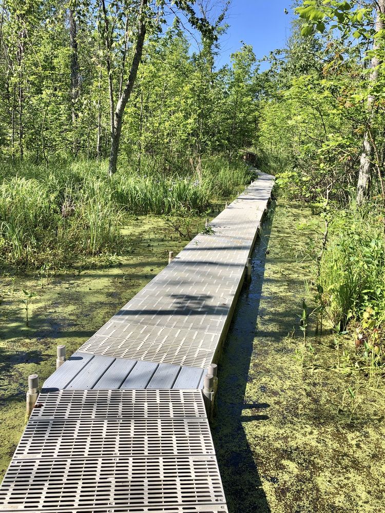 BEANBLOSSOM BOTTOMS NATURE PRESERVE Updated September 2024 25 Photos Bean Blossom Township