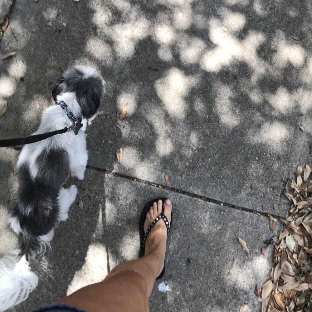 Bennie and the Pets - pet boarding facility in Austin, TX