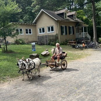 The Cedars House - a man driving a horse drawn carriage - Cafes Near Me - Philadelphia, Pennsylvania The Cedars House - a man driving a horse drawn carriage - Cafes Near Me - Philadelphia, Pennsylvania