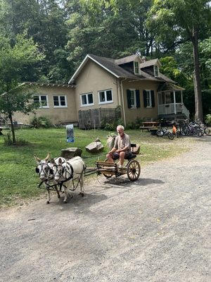 The Cedars House by null